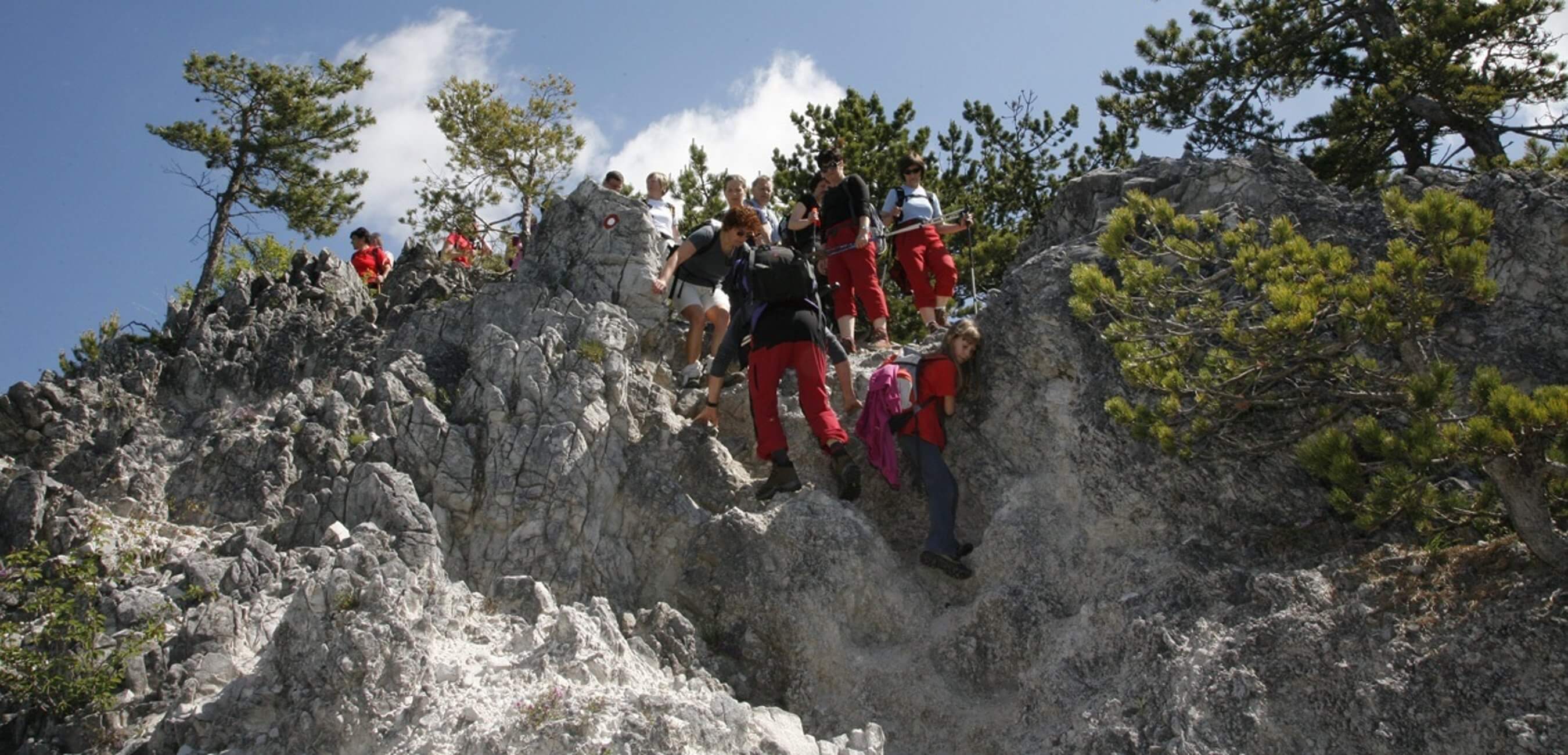 TR36SI-trajnostni-razvoj-do-s-sportom-do-zdravja-krkine-planinske-poti-Krka-polhograjska-grmada-gradec-D