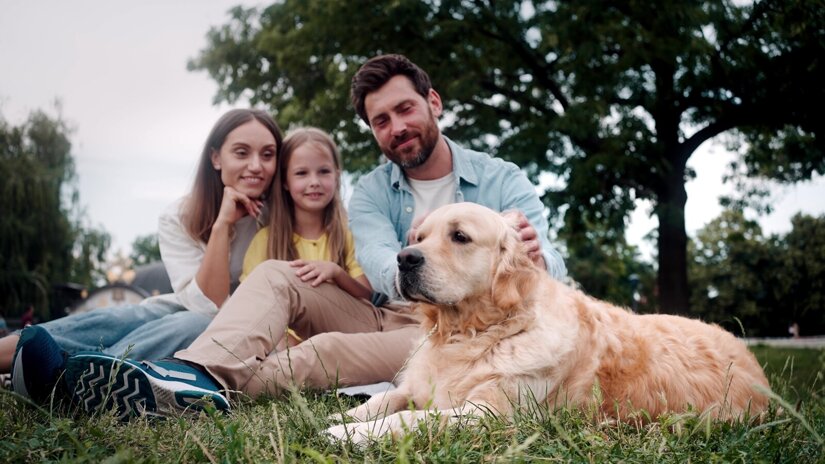 Veterina razkriva svojo zgodbo